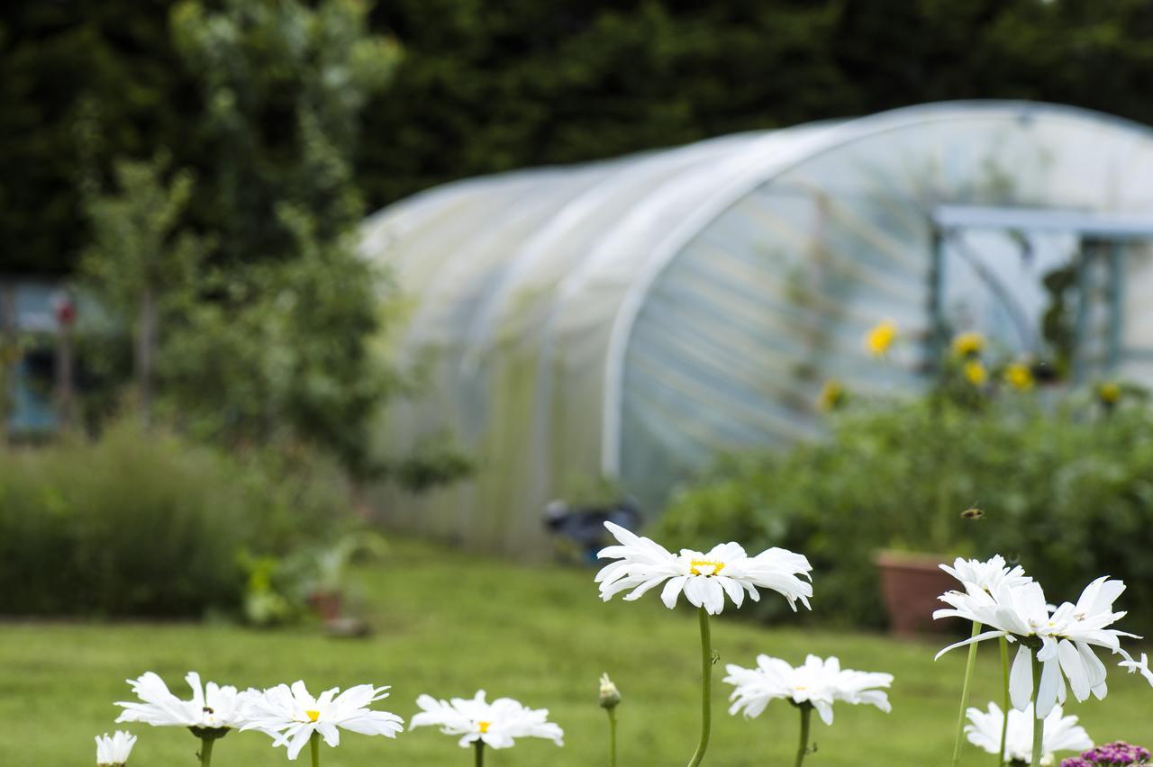 Peartree Hill Bed & Breakfast Dundonald  Luaran gambar